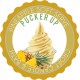 PINEAPPLE SOFT SERVE -  BEESWAX, CARNAUBA WAX LIP BALM